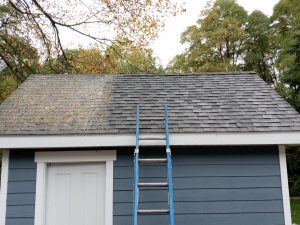 Roof Cleaning Company Grand Rapids MI