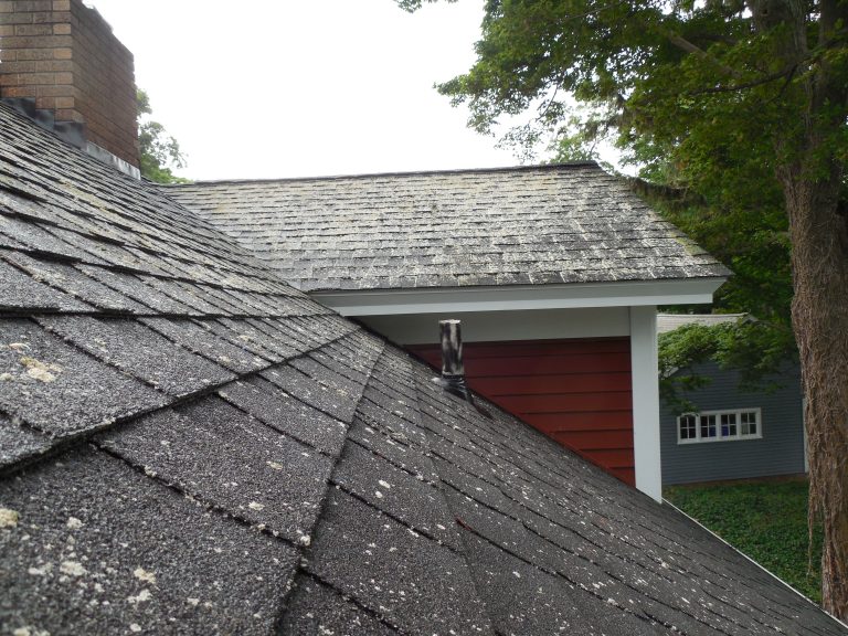 roof cleaning MI