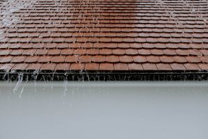 pexels photo 2663254
