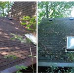 20250915165817 0 0C0B8BF9 405C 489B 8889 6FFE2EEB4D10 COLLAGE 20250915165817 0 0C0B8BF9 405C 489B 8889 6FFE2EEB4D10 COLLAGE