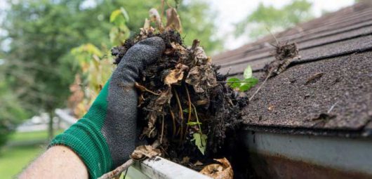 Gutter Cleaning Service The Woodlands Tx